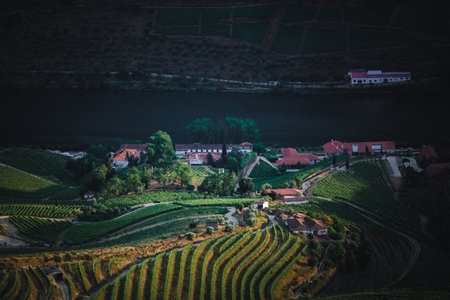 A view of the river in the Douro Valley near Pinhao, Portugal.の写真素材
