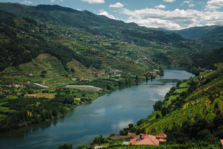 A sweeping panorama of the Douro Valley showing the river and expansive vineyards in Portugal.