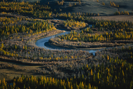 Aerial view of the winding Katun River meandering through the autumn forest of the Altai Republic, with vibrant fall colors.の写真素材