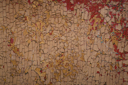 The texture of a plywood surface with faded and peeling paint, revealing the layered structure beneath.の写真素材