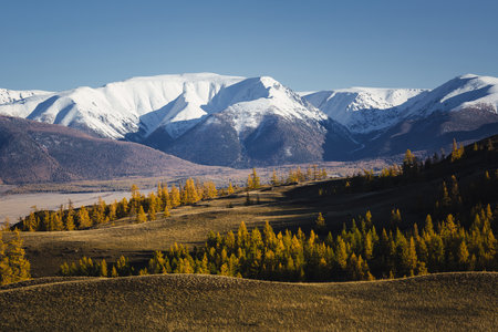 View of the snow-covered North Chuya Ridge in autumn, Republic of Altai, Russia.の写真素材