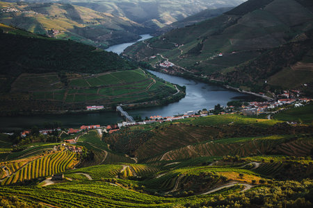 A stunning view of Pinhao in the Douro River Valley, Portugal, surrounded by breathtaking vineyards and rolling hills.の写真素材