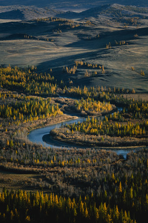 A panoramic view of the autumn forest and the Katun River in Altai, showing vibrant fall colors and natural beauty.の写真素材