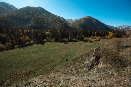 A panoramic view of the foothills, lush forest, and a vibrant blue sky in the Altai Republic, showing the region's natural splendor.の写真素材