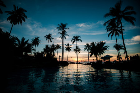 A tropical beach at twilight with silhouettes of palm trees and shimmering reflections on the water â a moment of pure beauty.の写真素材