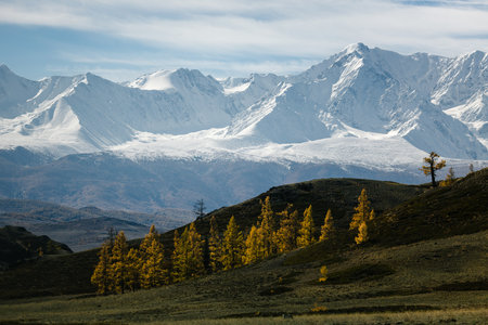 Snow-covered mountain ridges in the Altai Republic, showing breathtaking natural beauty and rugged wilderness.の写真素材