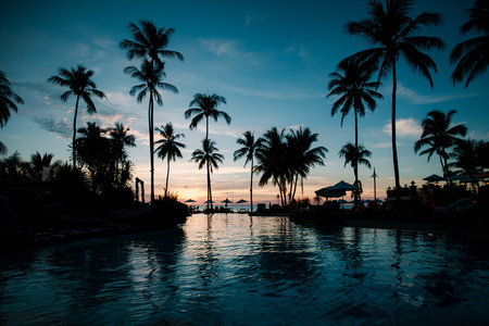 A tropical beach at twilight in Thailand, featuring silhouettes of palm trees and shimmering reflections on the water, exuding tranquility.の写真素材