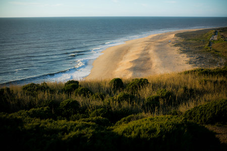 A deserted ocean beach in Portugal under a clear blue sky, with untouched golden sands stretching along the serene coastline.の写真素材