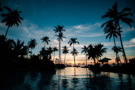 Silhouettes of palm trees stand tall on a tropical beach as the sun sets, painting the sky in shades of orange, pink, and gold. The scene feels timeless, warm, and peaceful.の写真素材