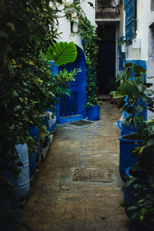 A narrow dead-end alley in the Medina of Tangier, Morocco, with blue and white walls, old doors, and pots of greenery along the walls. The small corner feels peaceful and full of charm.の写真素材
