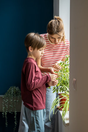 Active mother involve small son boy in take care for green leaves houseplants in pots on windowsillの写真素材