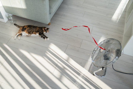Summer heat and pet at home. Domestic cat lying on the floor, escapes from heat with help of fan.の写真素材