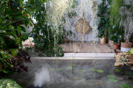 Bathtub with floating plants in wonderful indoor water garden full of lush tropical exotic greeneryの写真素材