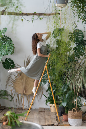Happy female florist on stepladder with tenderness preparing houseplants for sale indoor gardening.の写真素材