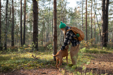 Pet lover fondling, hugging, playing with dog while hiking in pine forest in sunny autumn day