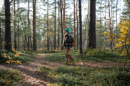 Tourist woman spending free time in scandinavian pine forest hiking, relaxing, breathing fresh airの写真素材