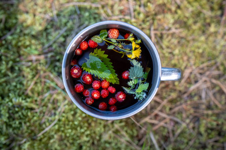Fragrant travel black tea mug with natural fresh strawberries mint leaves yellow flowers dandelions