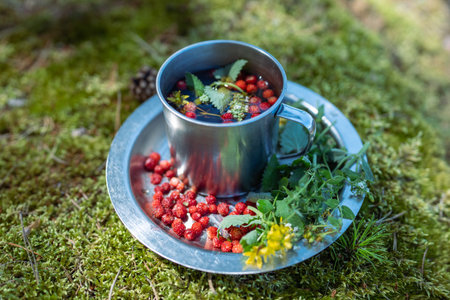 Metal camping mug with tea on aluminium plate among grass. Close up, focus on foreground.の写真素材