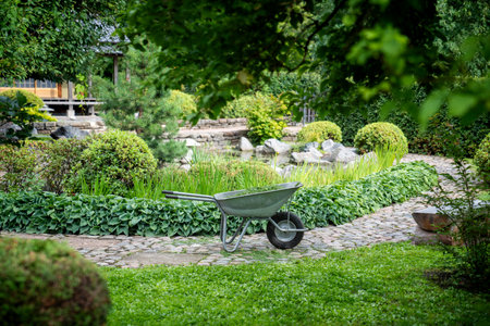 Wheelbarrow on stone pathway surrounded by green garden with hedge, plants, trees. City greeningの写真素材
