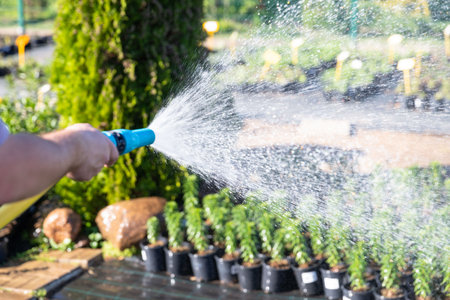 Gardener hand with garden hose watering plants, close up, sun light