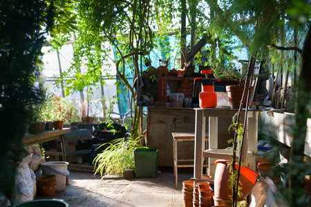 Tools for growing, planting, cultivating plants in old greenhouse. Workplace of florist or botanistの写真素材