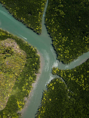 Photo from drone of river in green mangroves, Kilim Geoforest Park, Langkawi, Malaysia. Green trees...
