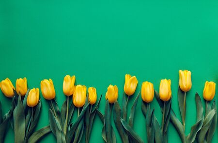 flowers arranged on a green backgroundの写真素材