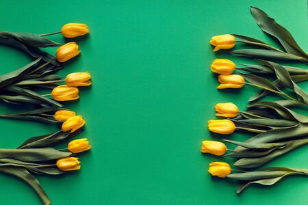 flowers arranged on a green backgroundの写真素材