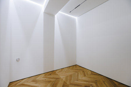 A Minimalist White Room Featuring Beautiful Wooden Flooring and Soft, Inviting Lightingの写真素材