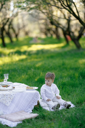 A little boy is happily sitting on a cozy blanket in front of a picnic tableの写真素材