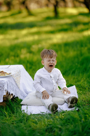 A small boy is sitting on a blanket in the grass and crying softlyの写真素材