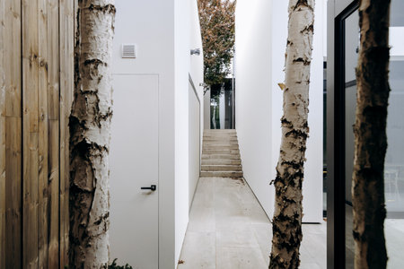A long hallway that features trees planted right in the middle of itの写真素材