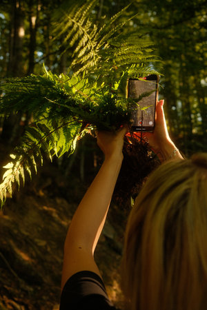 A woman is capturing a photograph of a beautiful fern using her phoneの写真素材