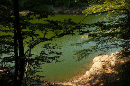 A beautiful lake is nestled in a serene forest, surrounded by treesの写真素材