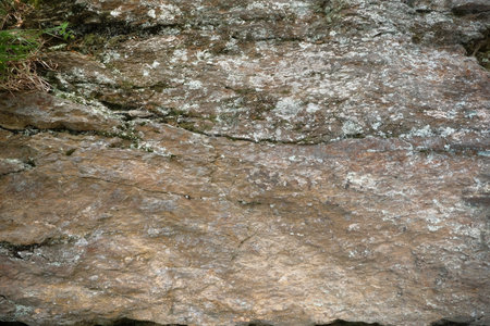A detailed close up image of a rock featuring water flowing out of itの写真素材