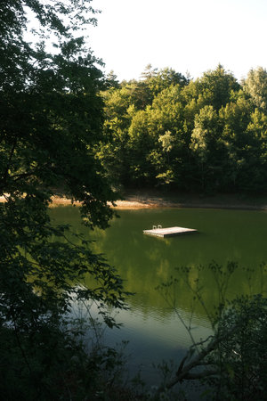 A lake surrounded by lush trees, featuring a dock in the middleの写真素材