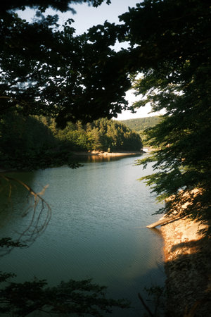 A tranquil lake is beautifully surrounded by lush green trees on a sunny dayの写真素材