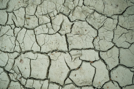 A detailed closeup image revealing the intricate cracks on a concrete surfaceの写真素材