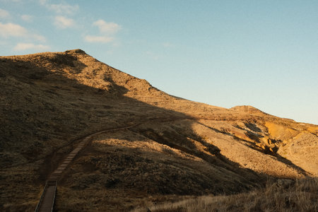 Sunlit trail ascent, Warm sunset illuminates rugged dry grassesの写真素材