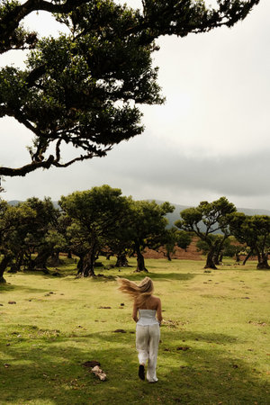 Walking across lush meadow amidst somber atmospheric backdropの写真素材