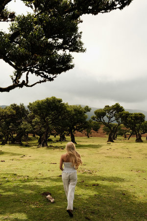 Strolling amid trees, Walking peacefully in lush greenの写真素材