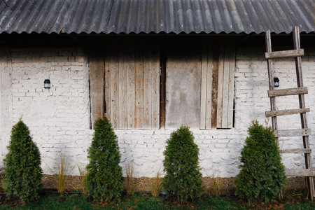 Aged window depicts signs of restoration efforts nearbyの写真素材
