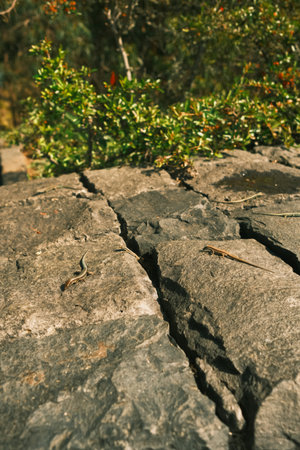 Detailed view of broken stone emphasizing fissures and roughの写真素材