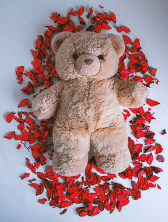 teddy bear happy valentines dayの写真素材