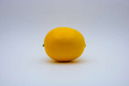 lemon on a white backgroundの写真素材