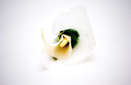 Wedding flowersの写真素材