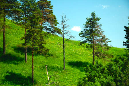 Beautiful Summer Landscape with Mountainsの写真素材