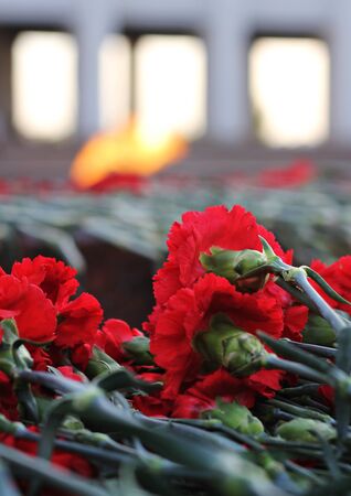 flowers in the park, Moscowの写真素材