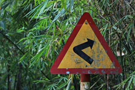 road sign in jungle, Vietnamの写真素材
