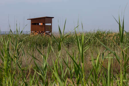 bird whatching house on the swamp. Cyprusの写真素材